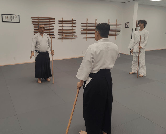 Is aikido a martial art Tri City Aikido Fremont CA