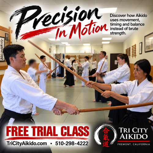 Tri City Aikido martial arts training in Fremont