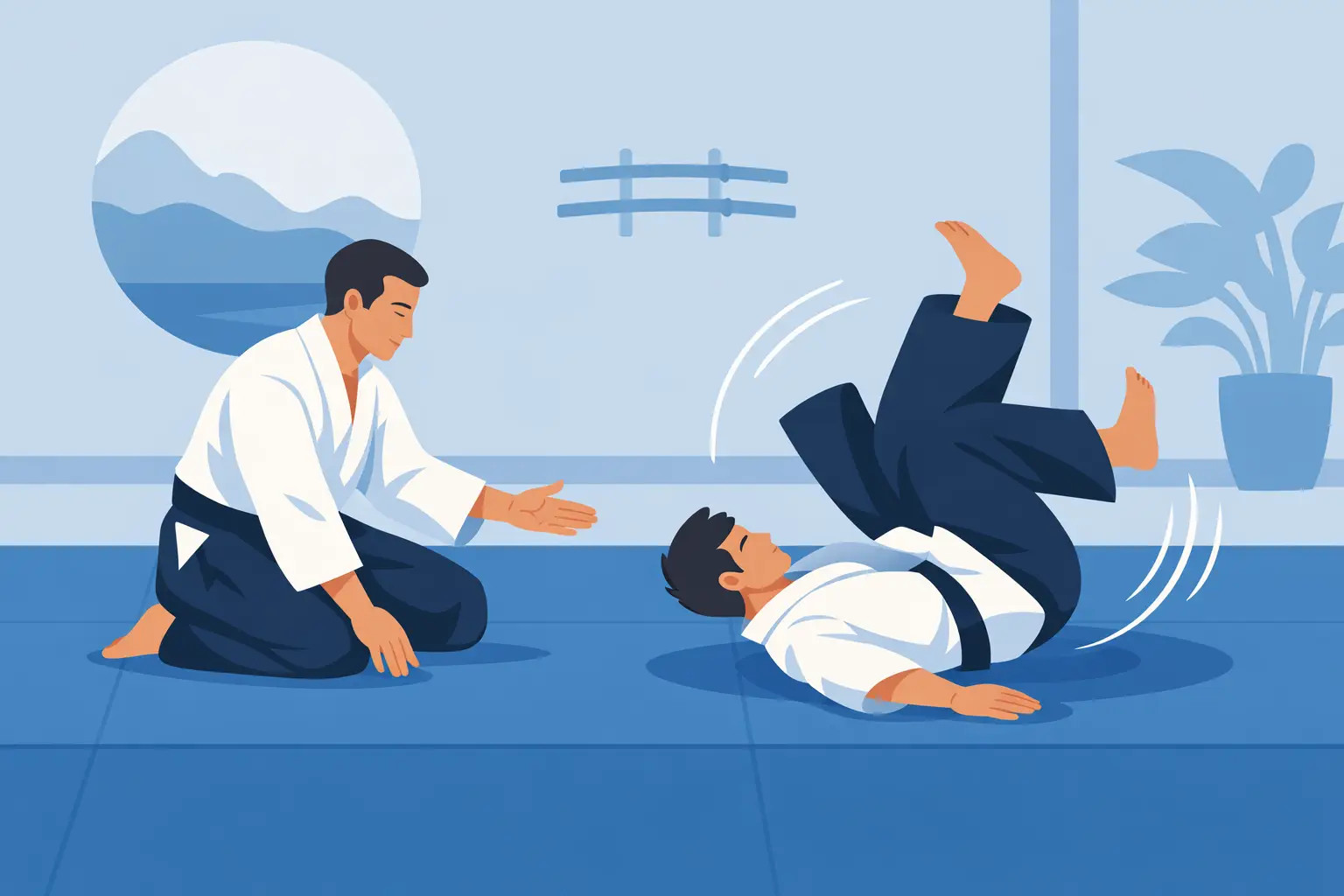 What is Aikido
